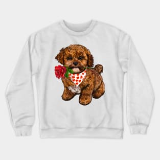 The Best Valentine’s Day Gift ideas, cavalier king charles spaniel Cute puppy dog with love heart sweetheart with red rose in its mouth. Cavapoochon Cavapoo dog Valentine’s Day Crewneck Sweatshirt